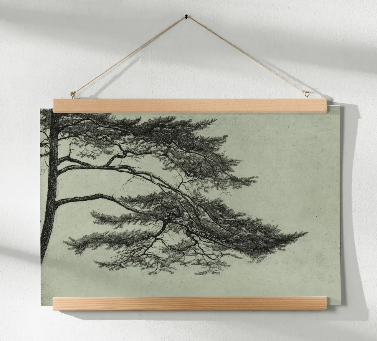 Sage Green Pine Tree Branch carta hahnemühle da apoloprints