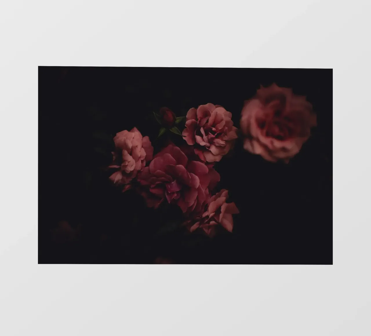 Roses #1 telo in pvc da Jule Shnc