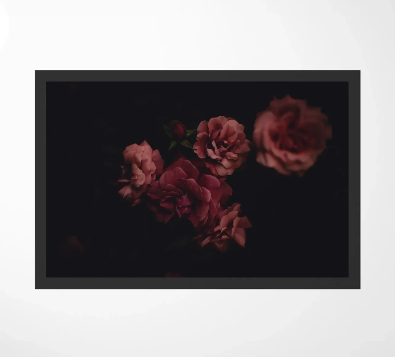 Roses #1 zerbino da Jule Shnc