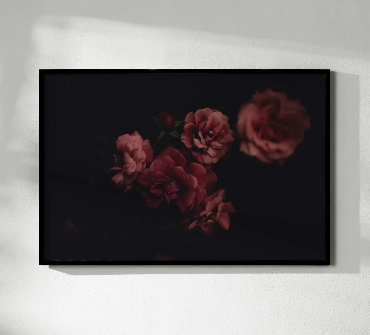 Roses #1 poster van Jule Shnc