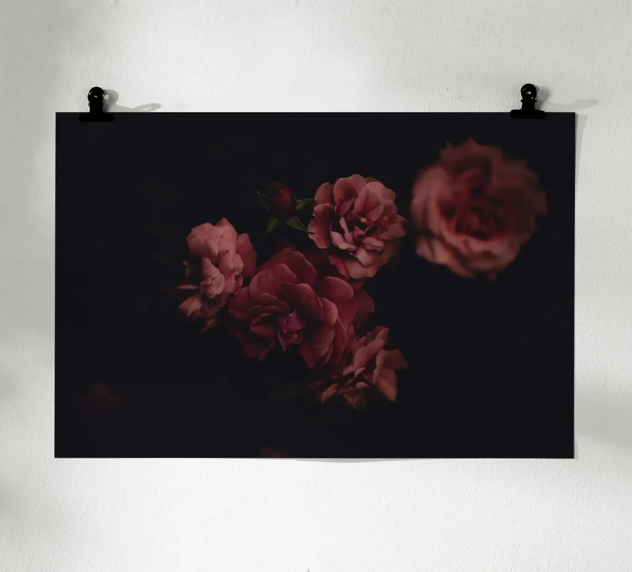 Roses #1 poster van Jule Shnc
