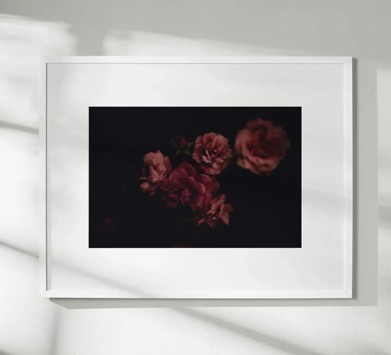 Roses #1 poster da smallstage.photography