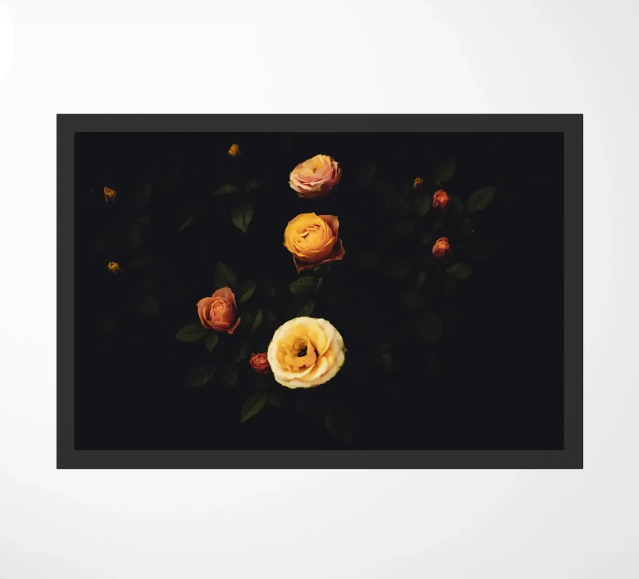 Roses #2 zerbino da smallstage.photography