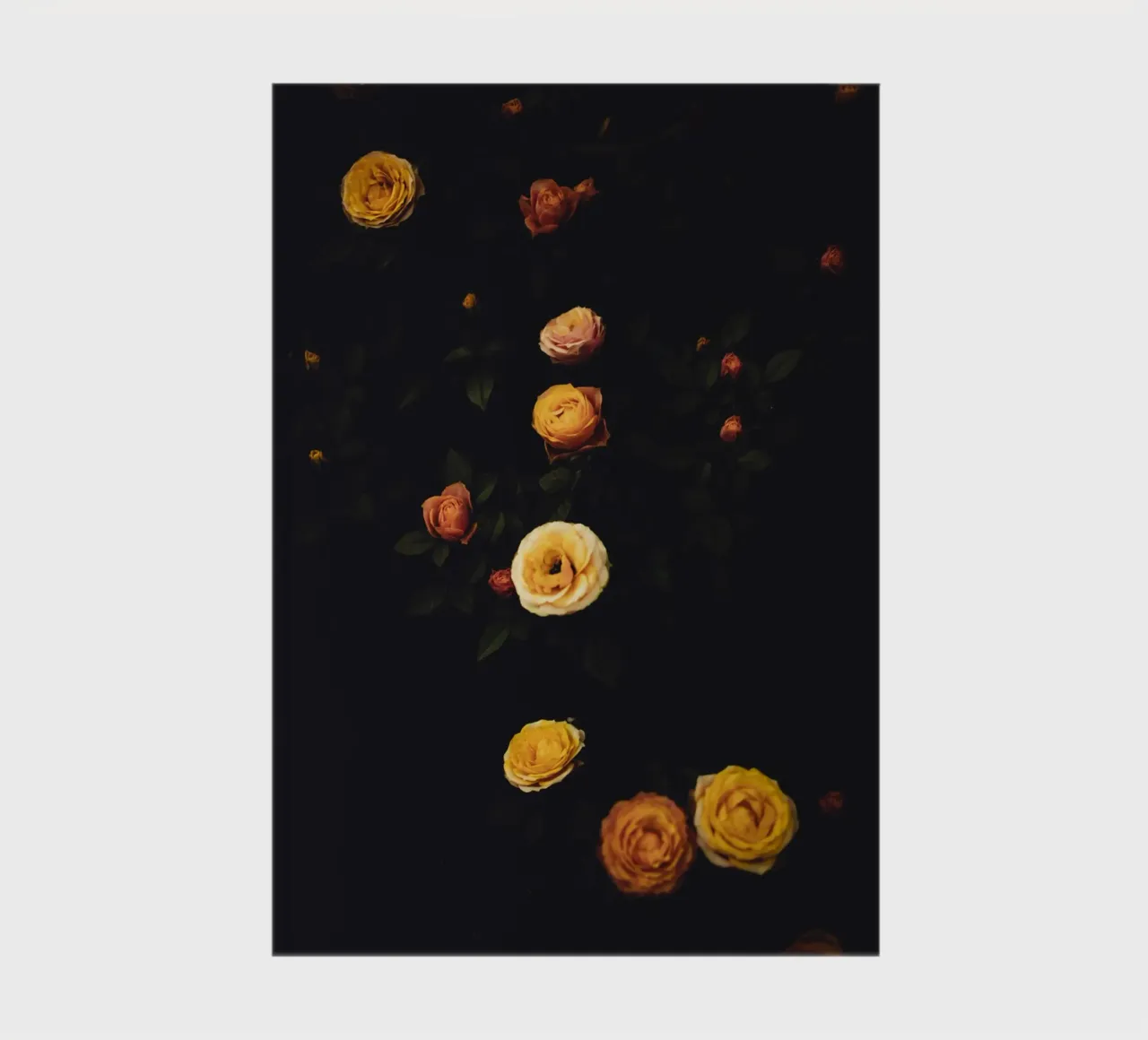 Roses #2 notebook by Jule Shnc
