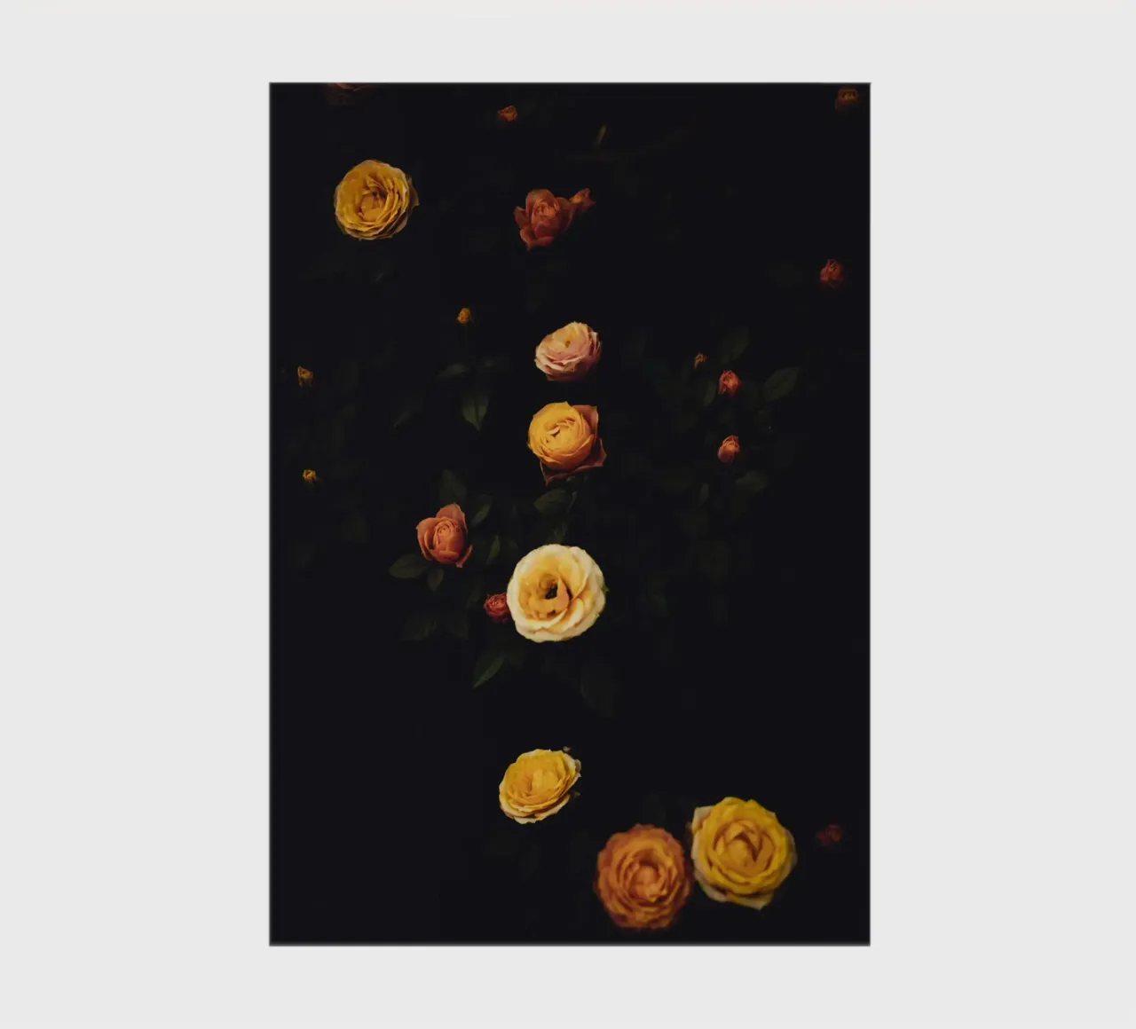 Roses #2 notebook by Jule Shnc