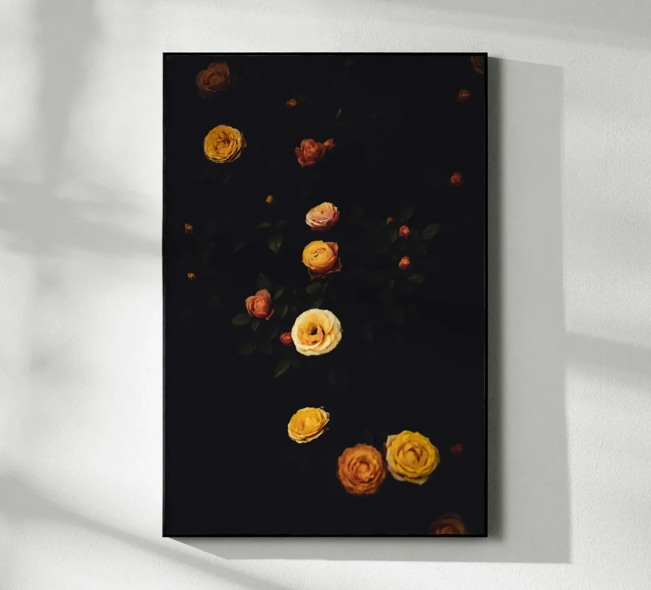 Roses #2 plexiglass da smallstage.photography