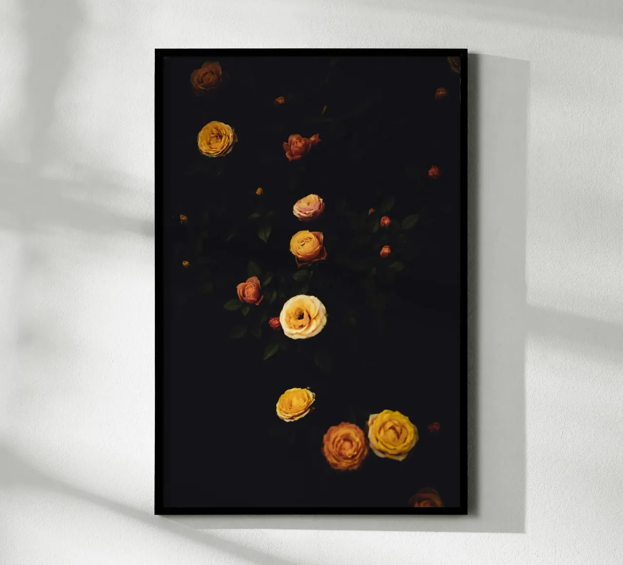 Roses #2 poster da smallstage.photography