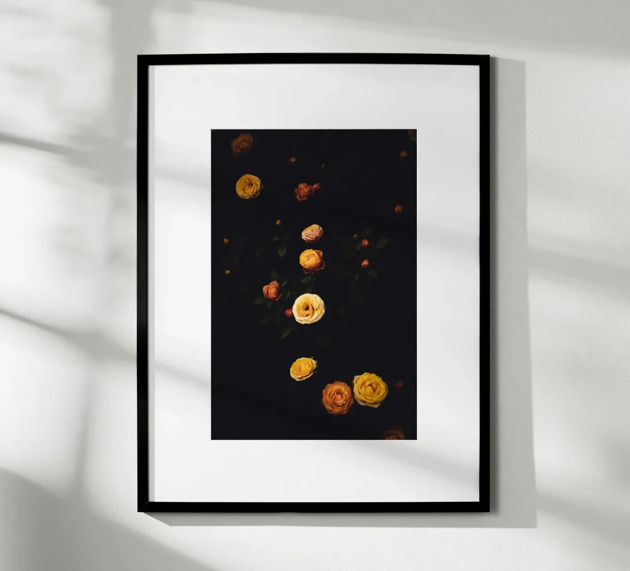 Roses #2 poster da smallstage.photography