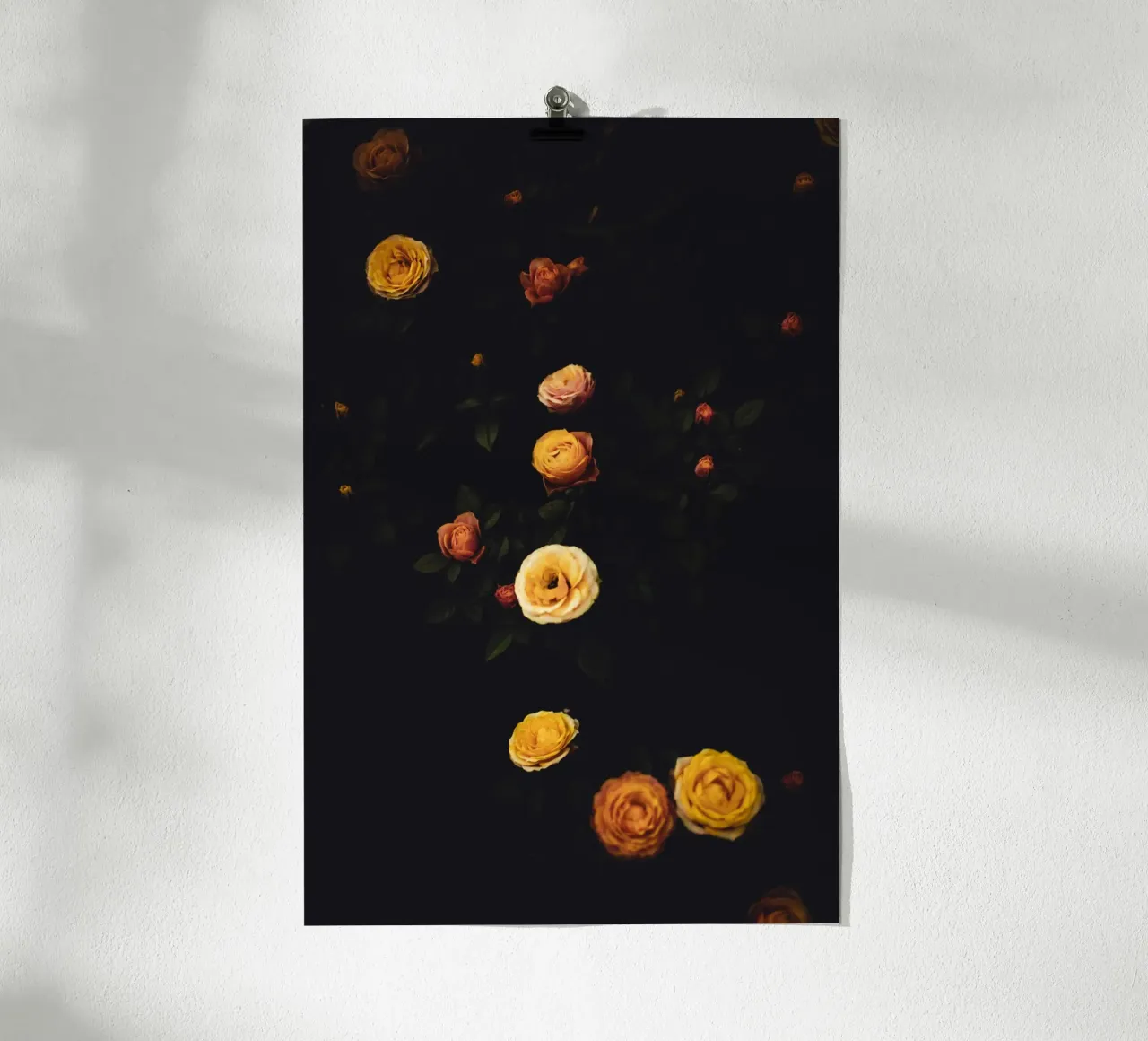 Roses #2 poster da smallstage.photography