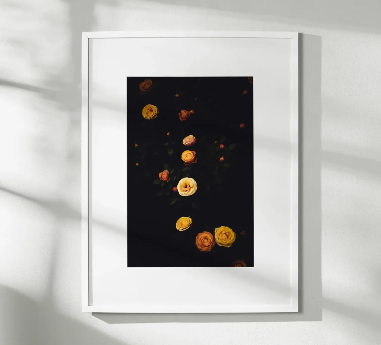 Roses #2 poster da smallstage.photography