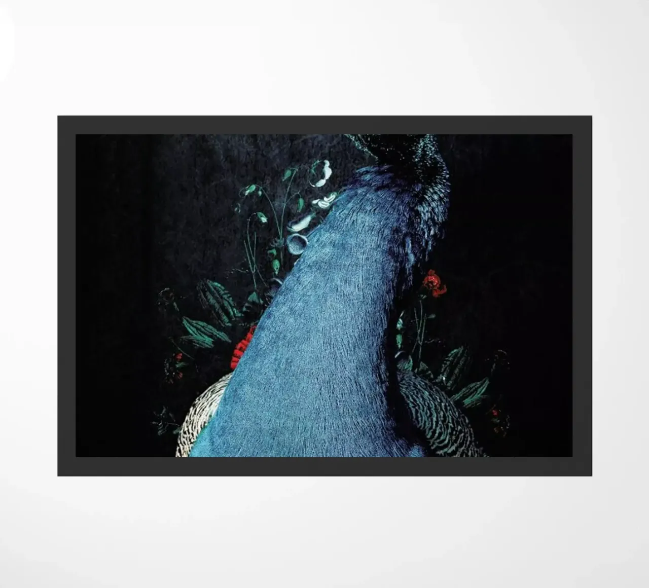 Peacock 2 zerbino da Wouter Rikken