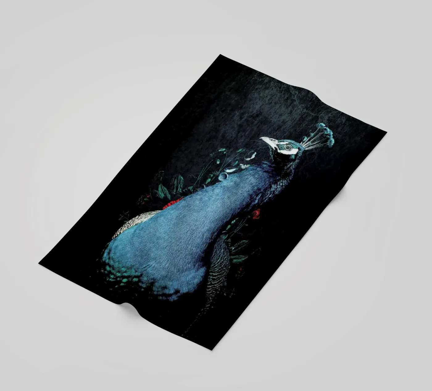 Peacock 2 telo mare da Wouter Rikken