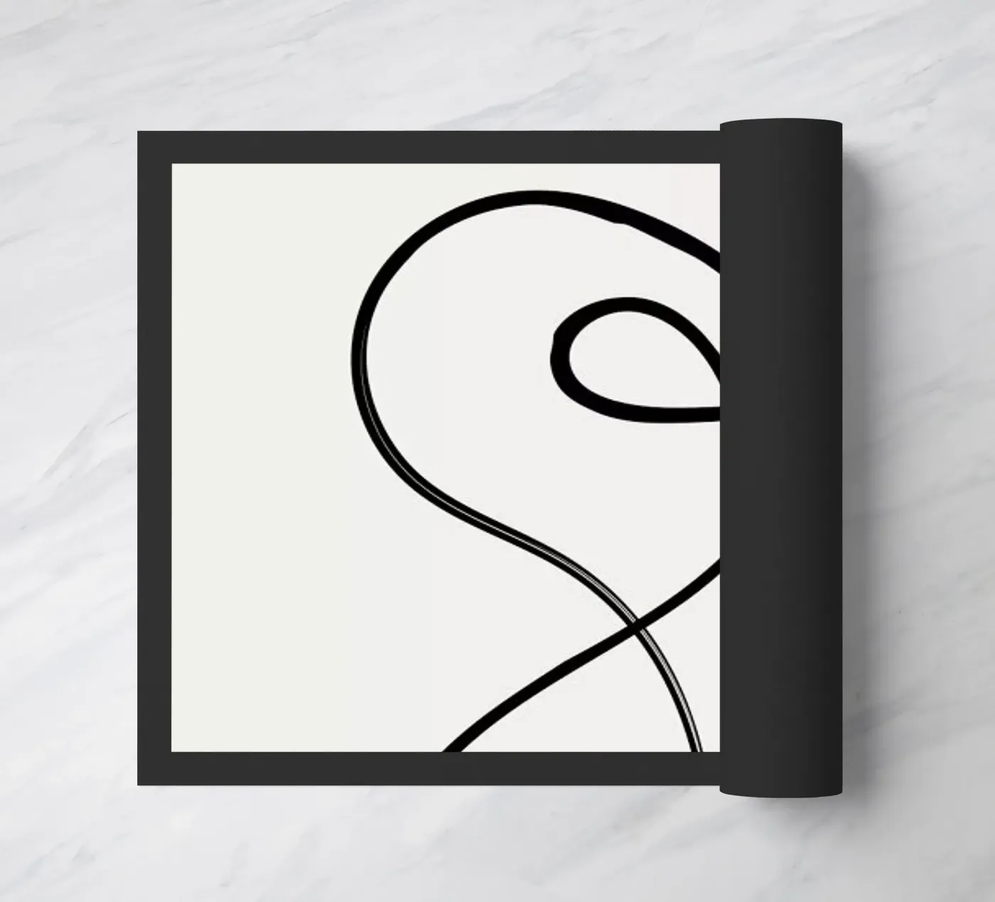 Figure 2 paillasson de Graphite