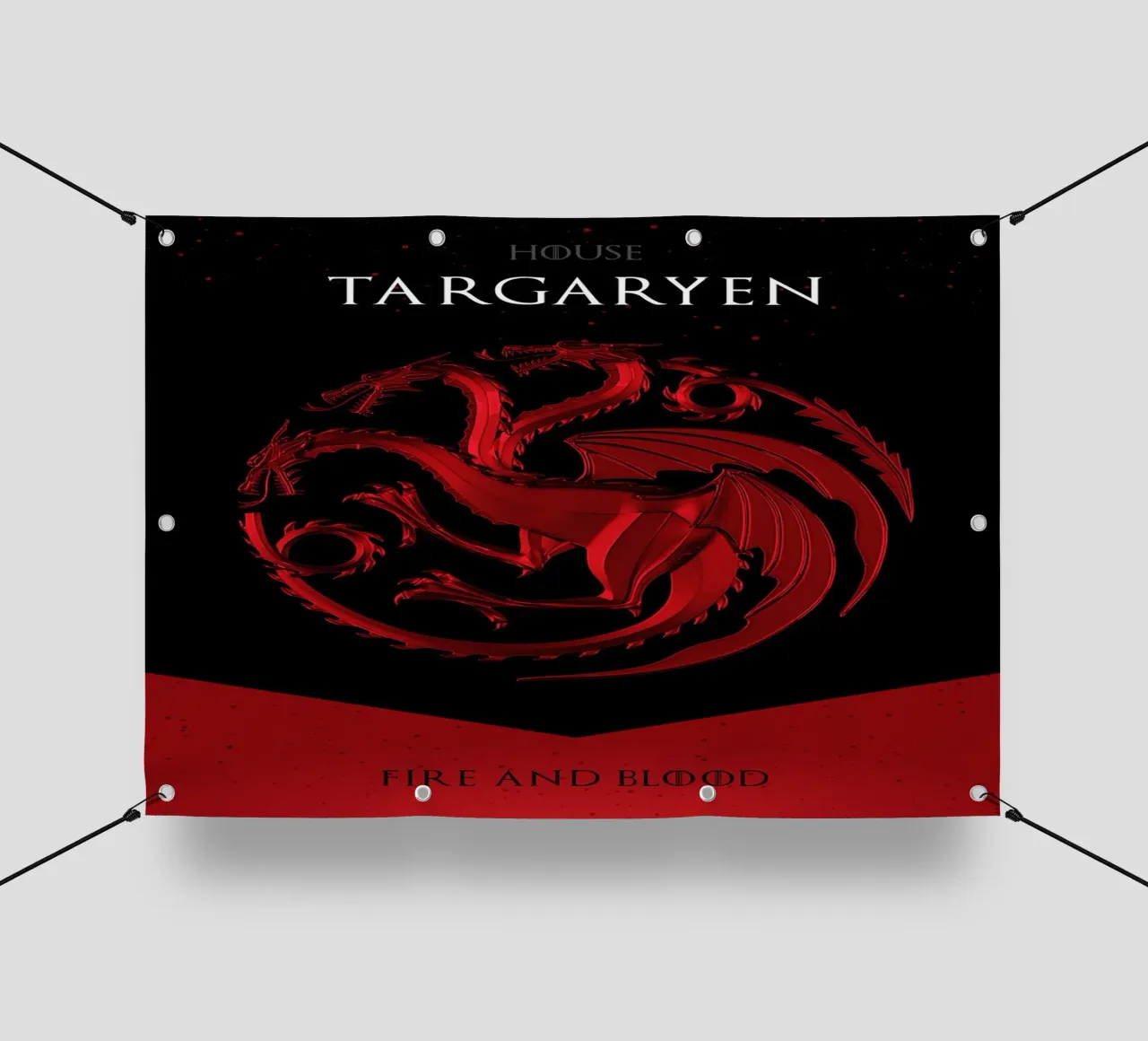 House Targaryen pvc cover by nabakumov
