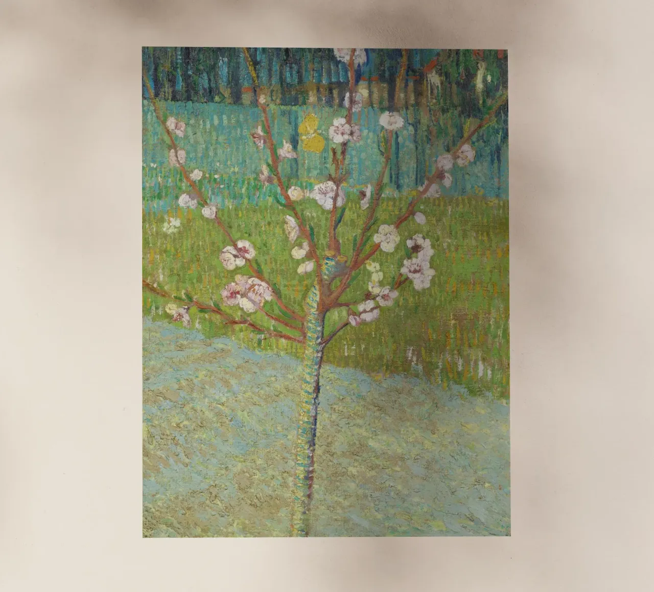 "Pesco in fiore" di Vincent van Gogh pellicola backlit da Venus Art