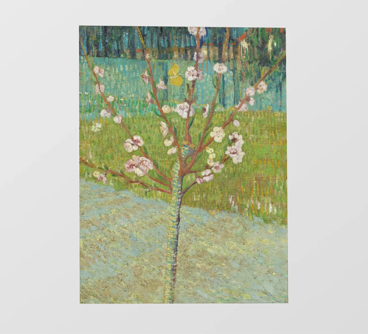 "Pesco in fiore" di Vincent van Gogh pellicola backlit da Venus Art