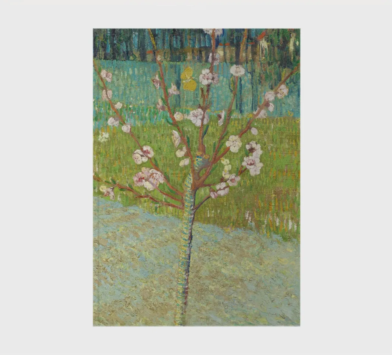 "Pesco in fiore" di Vincent van Gogh diario da Venus Art