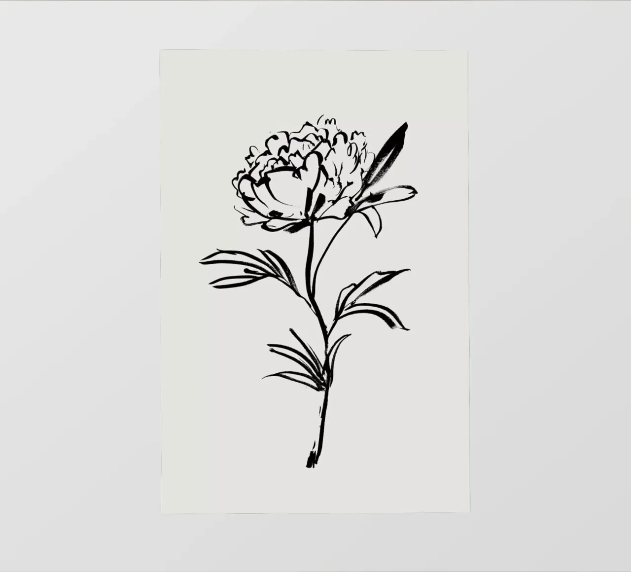 Simple Peony 2 pellicola backlit da Graphite