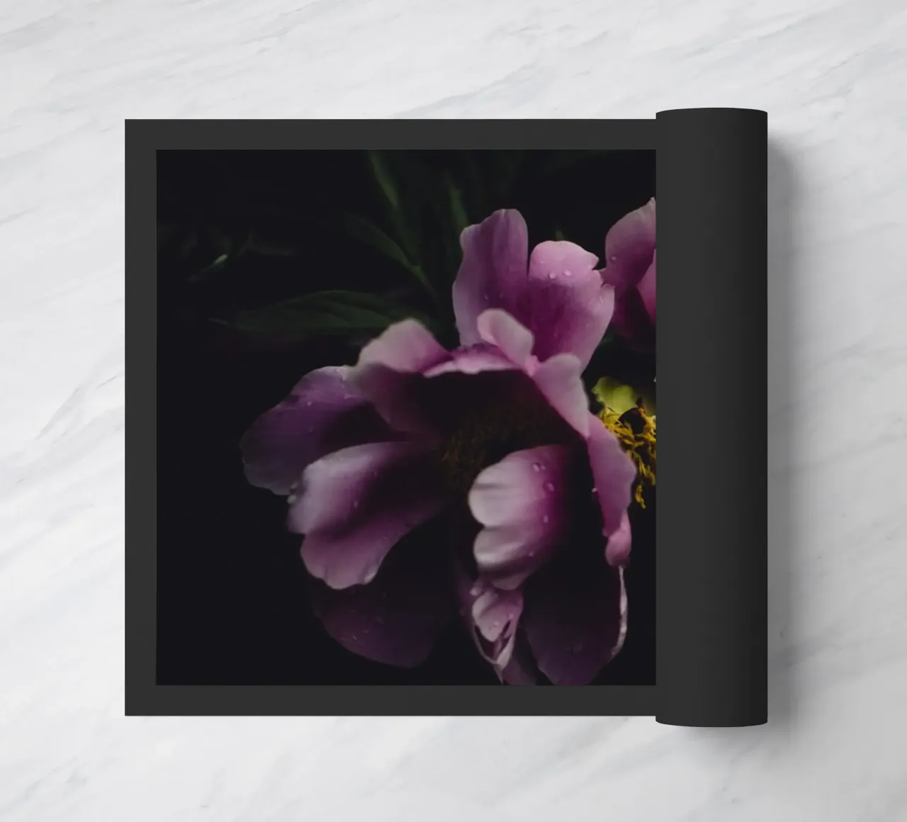 Peonia #1 zerbino da smallstage.photography