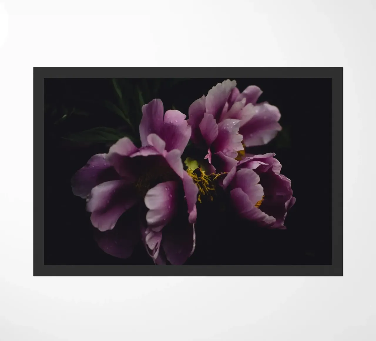 Peonia #1 zerbino da Jule Shnc