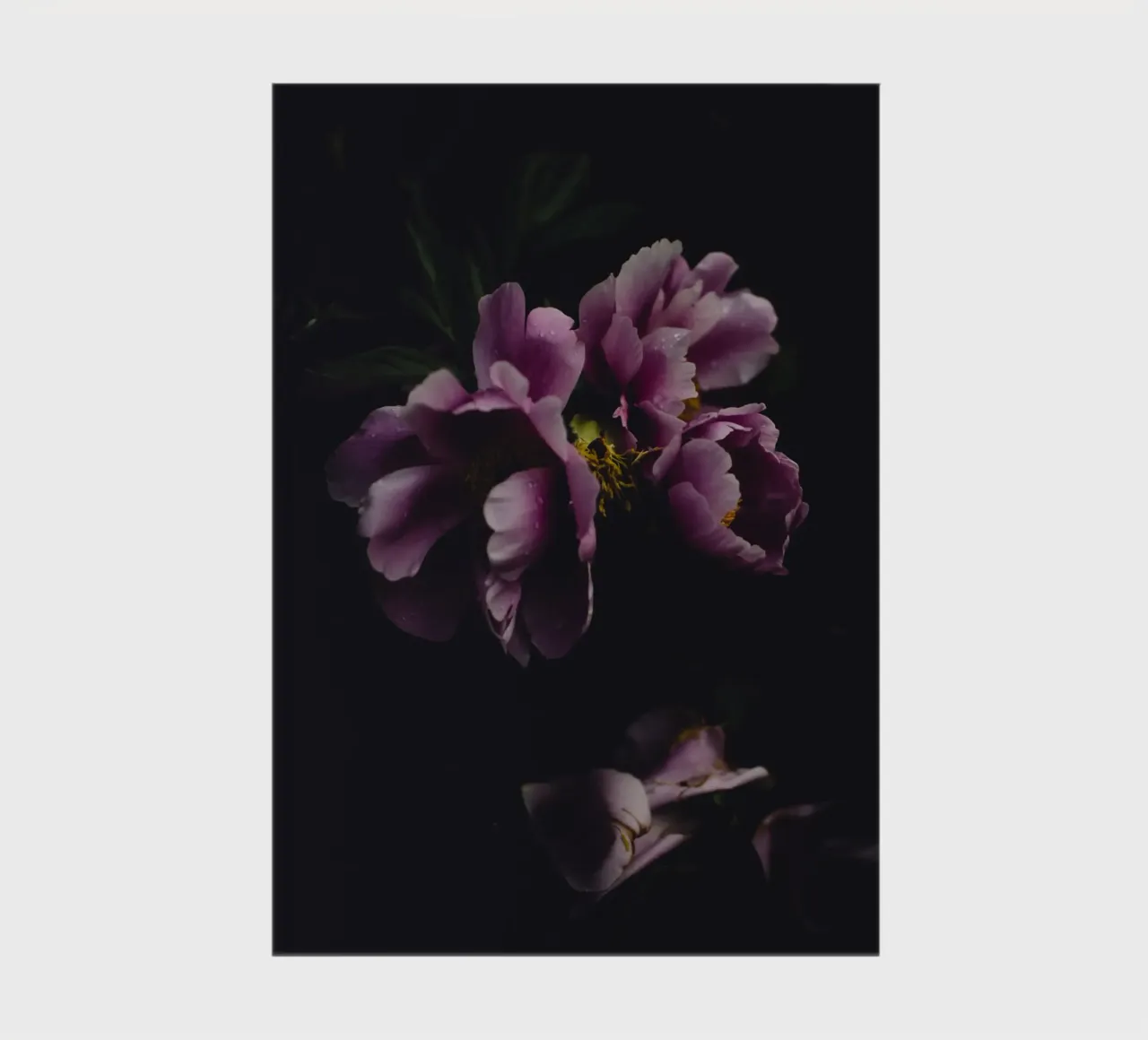 Peony #1 notebook by Jule Shnc