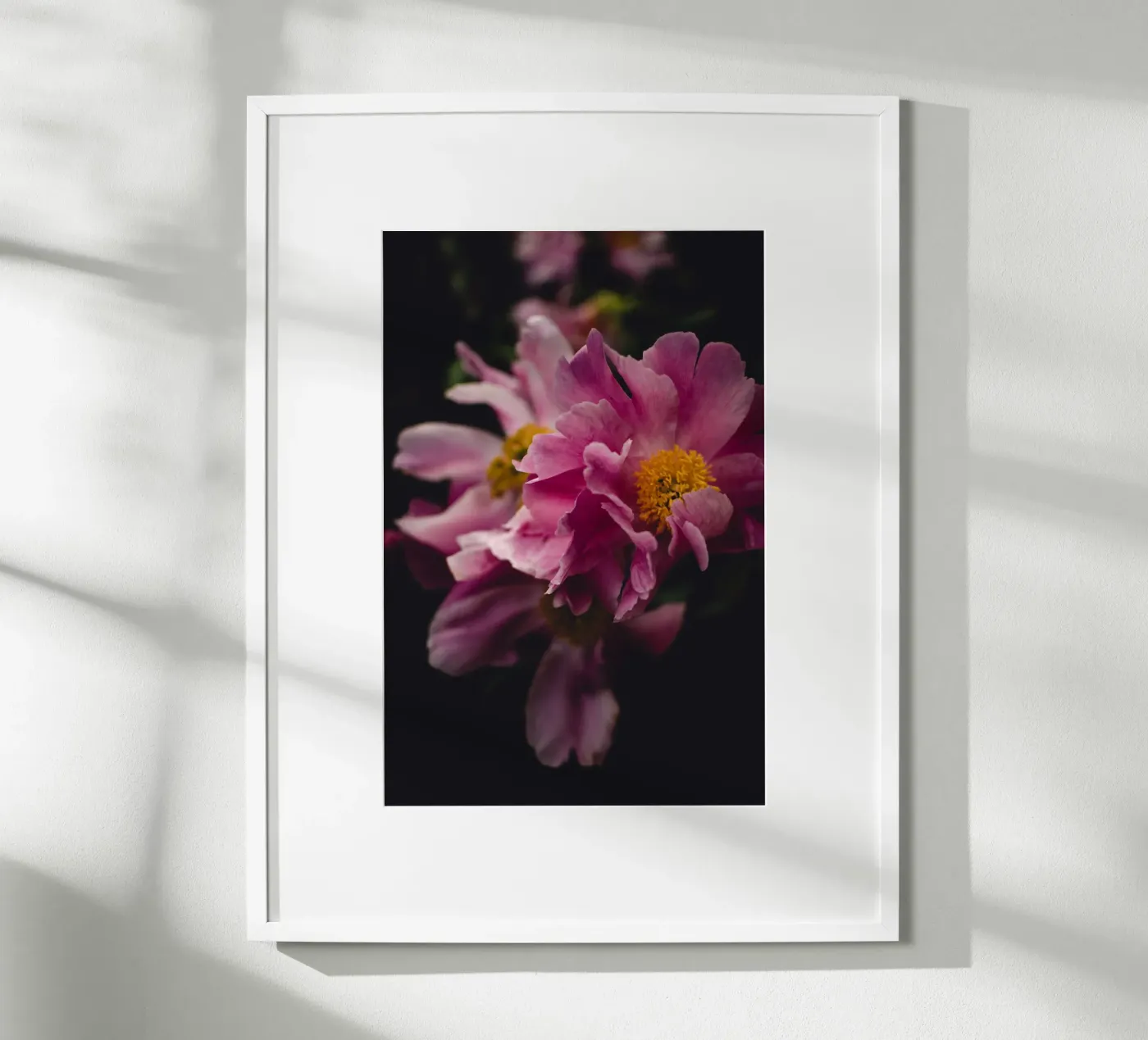 Peonia #2 poster da smallstage.photography