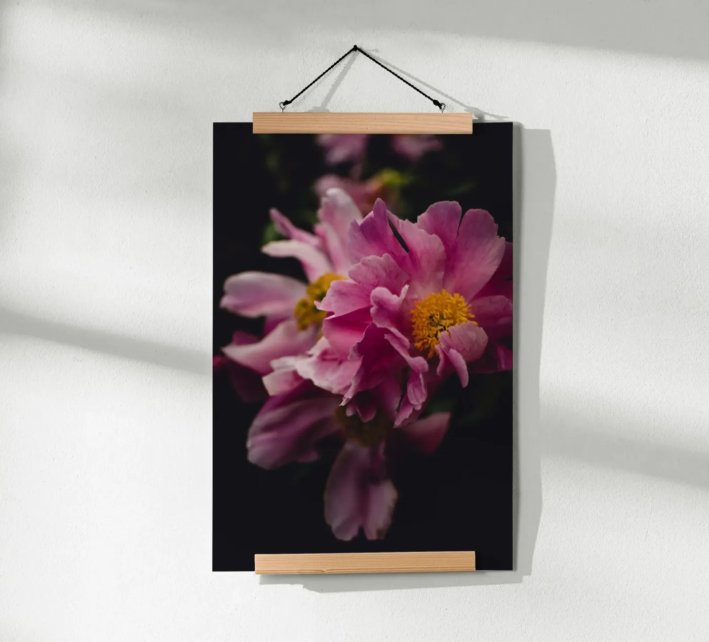 Peonia #2 poster da smallstage.photography