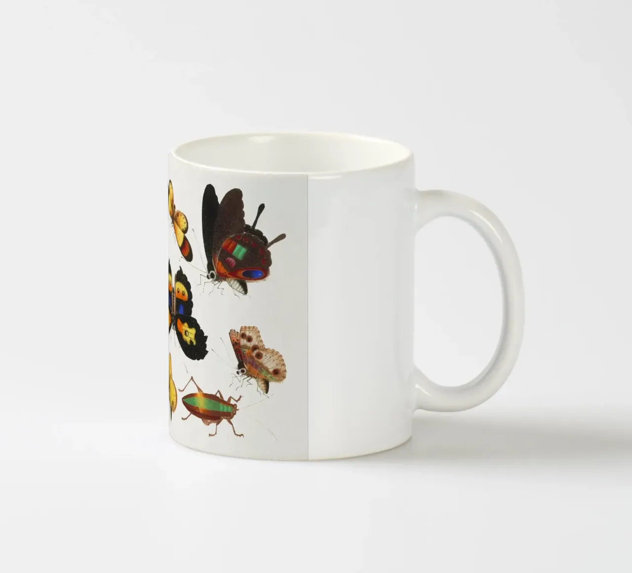 Studio di insetti cinesi del XVIII secolo - Farfalle e cavallette tazza in ceramica da ClubArt
