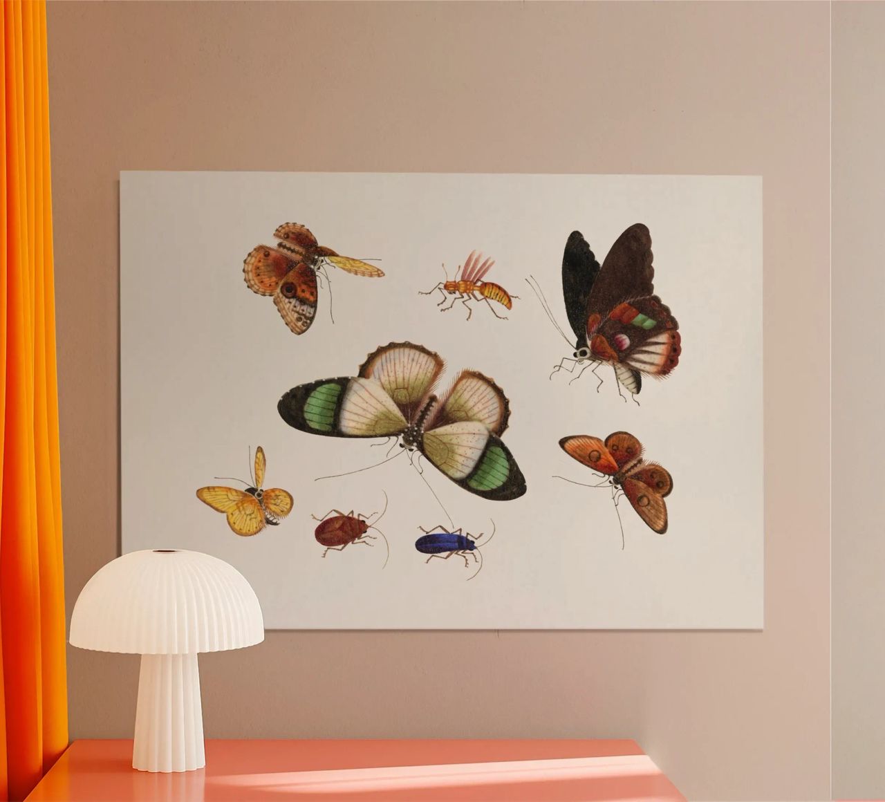 Chinesische Insektenzeichnung aus dem 18. Jahrhundert - Schmetterlinge und Käfer Poster von ClubArt