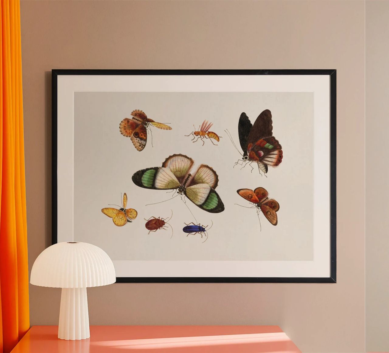 Chinesische Insektenzeichnung aus dem 18. Jahrhundert - Schmetterlinge und Käfer Poster von ClubArt
