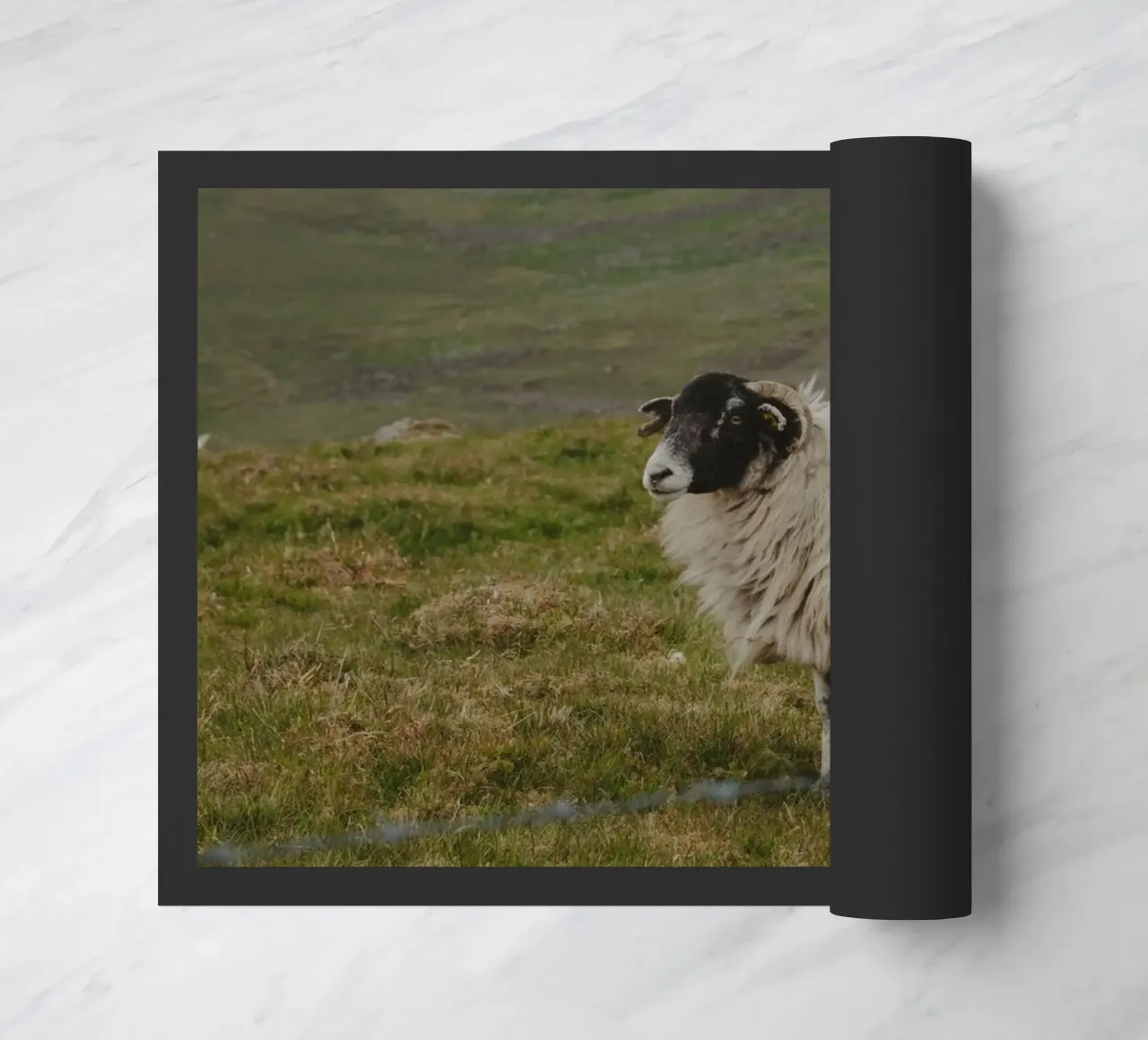 Schapen, Ierland, Fotografie deurmat van Jule Shnc