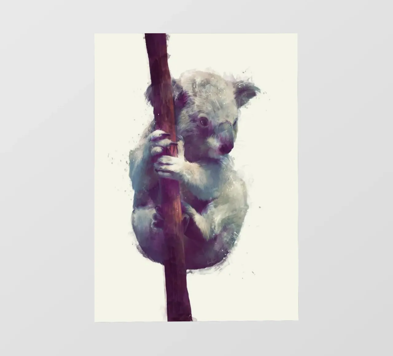 koala che stringe un eucalipto amy hamilton pellicola backlit da kbm store