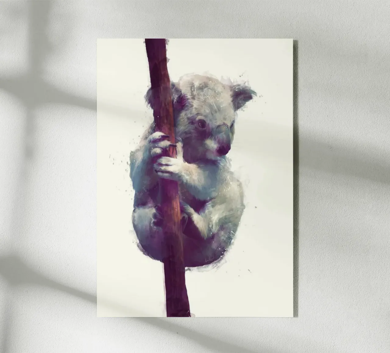 koala che stringe un eucalipto amy hamilton plexiglass da kbm store