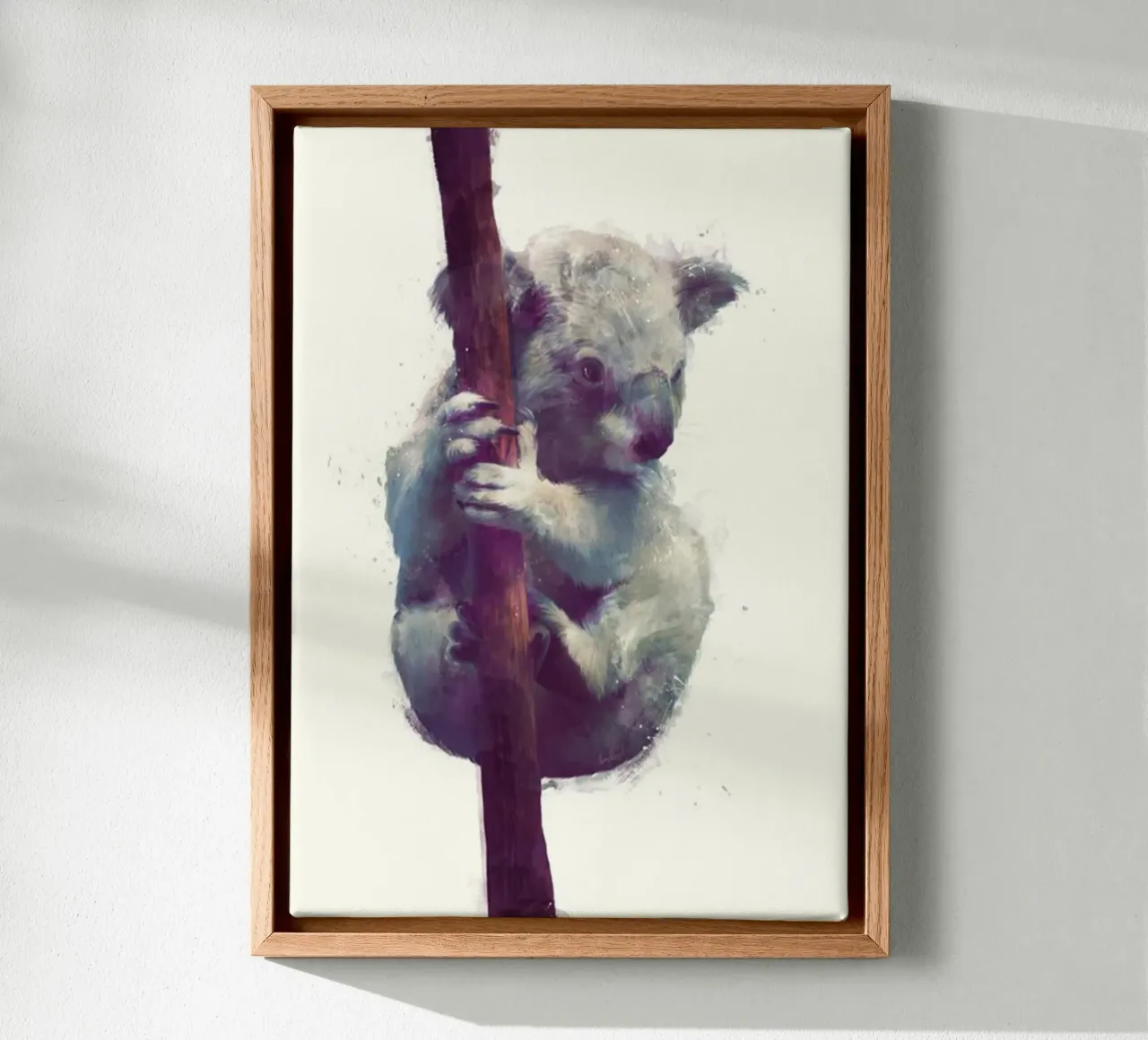 koala che stringe un eucalipto amy hamilton tela con Cornice a cassetta da kbm store