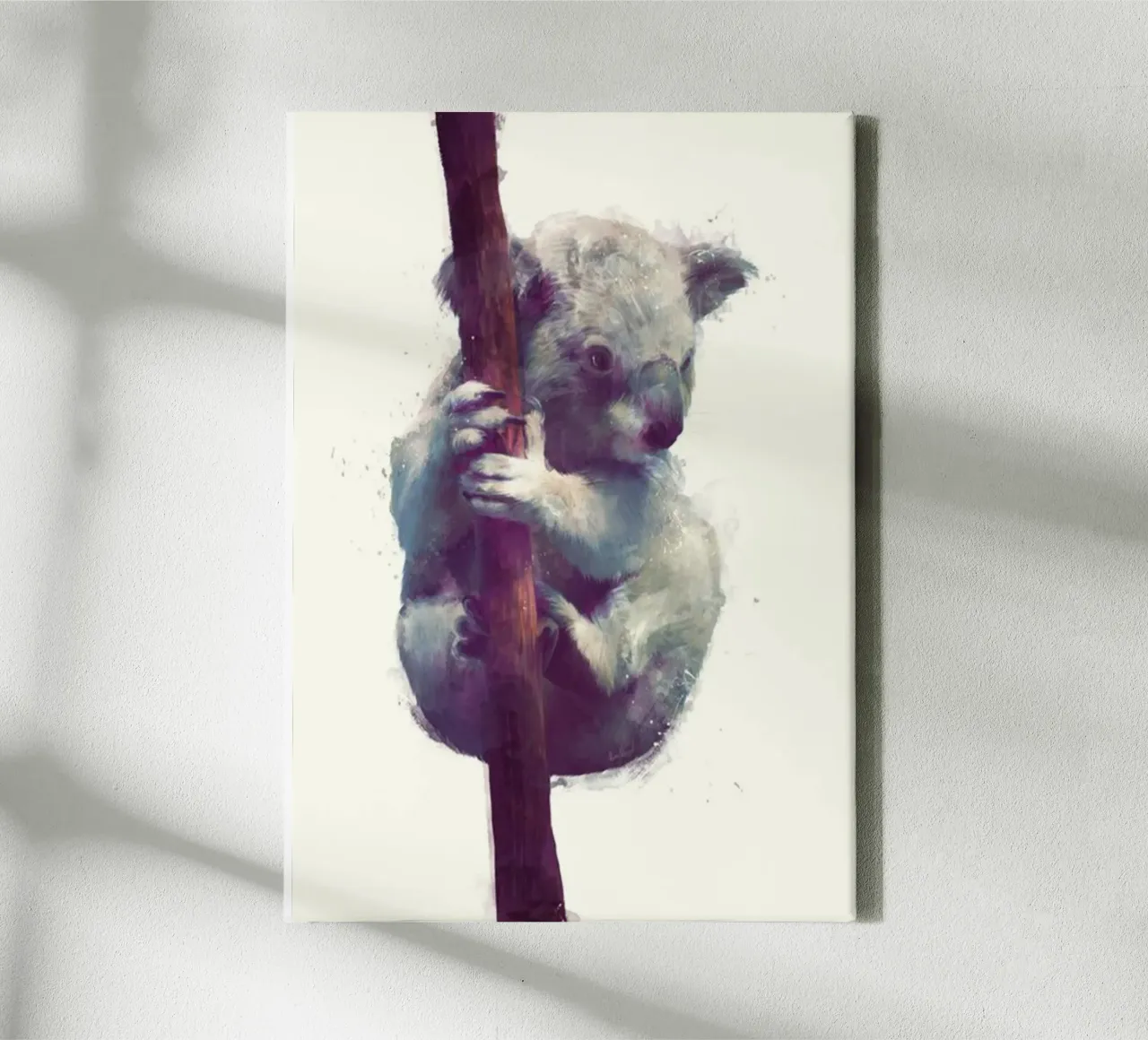 koala che stringe un eucalipto amy hamilton tela con Cornice a cassetta da kbm store