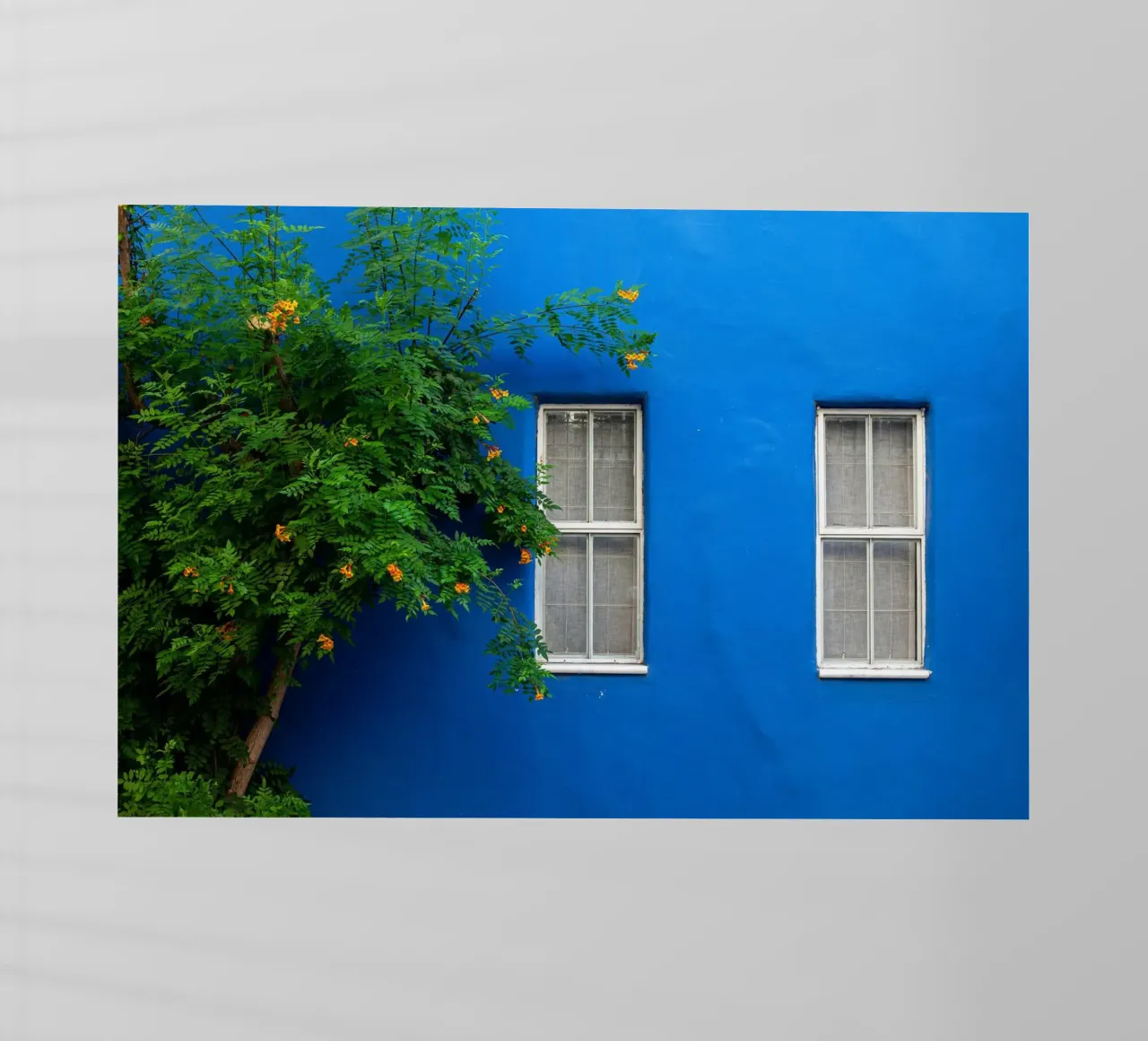 decorar sencillamente lámina retroiluminada de Bleu