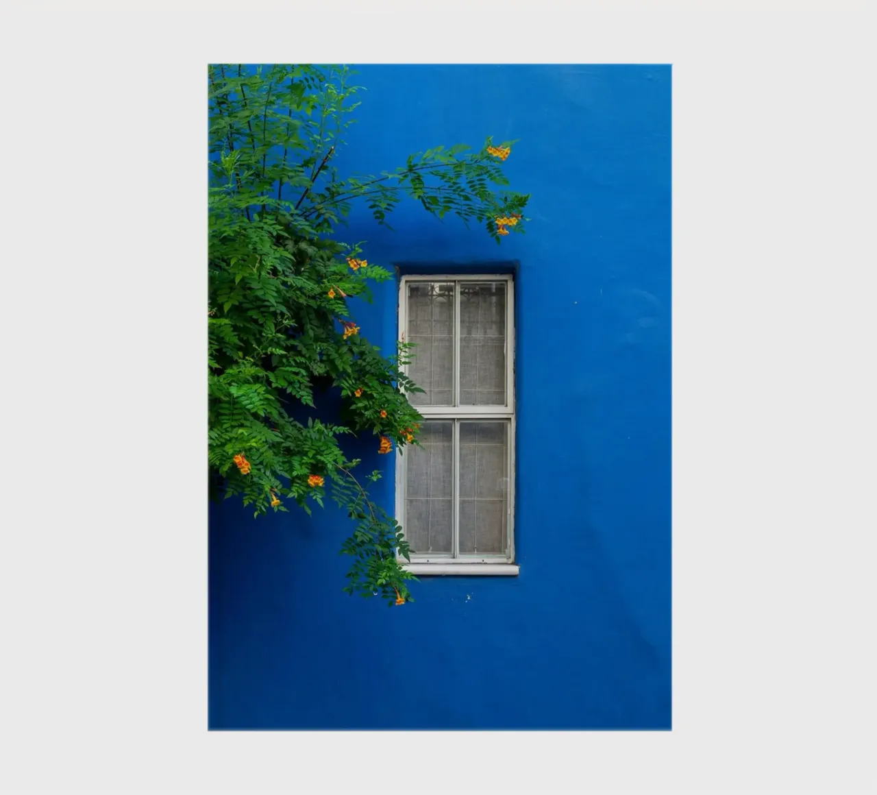 decorare in modo semplice diario da Bleu