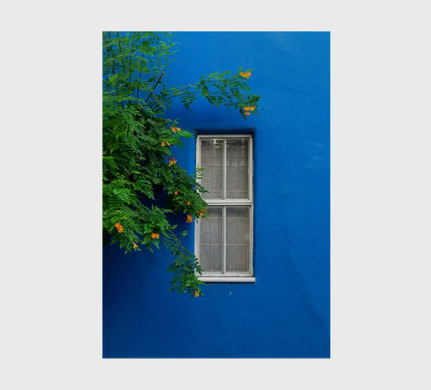 décorer simplement carnet de Bleu