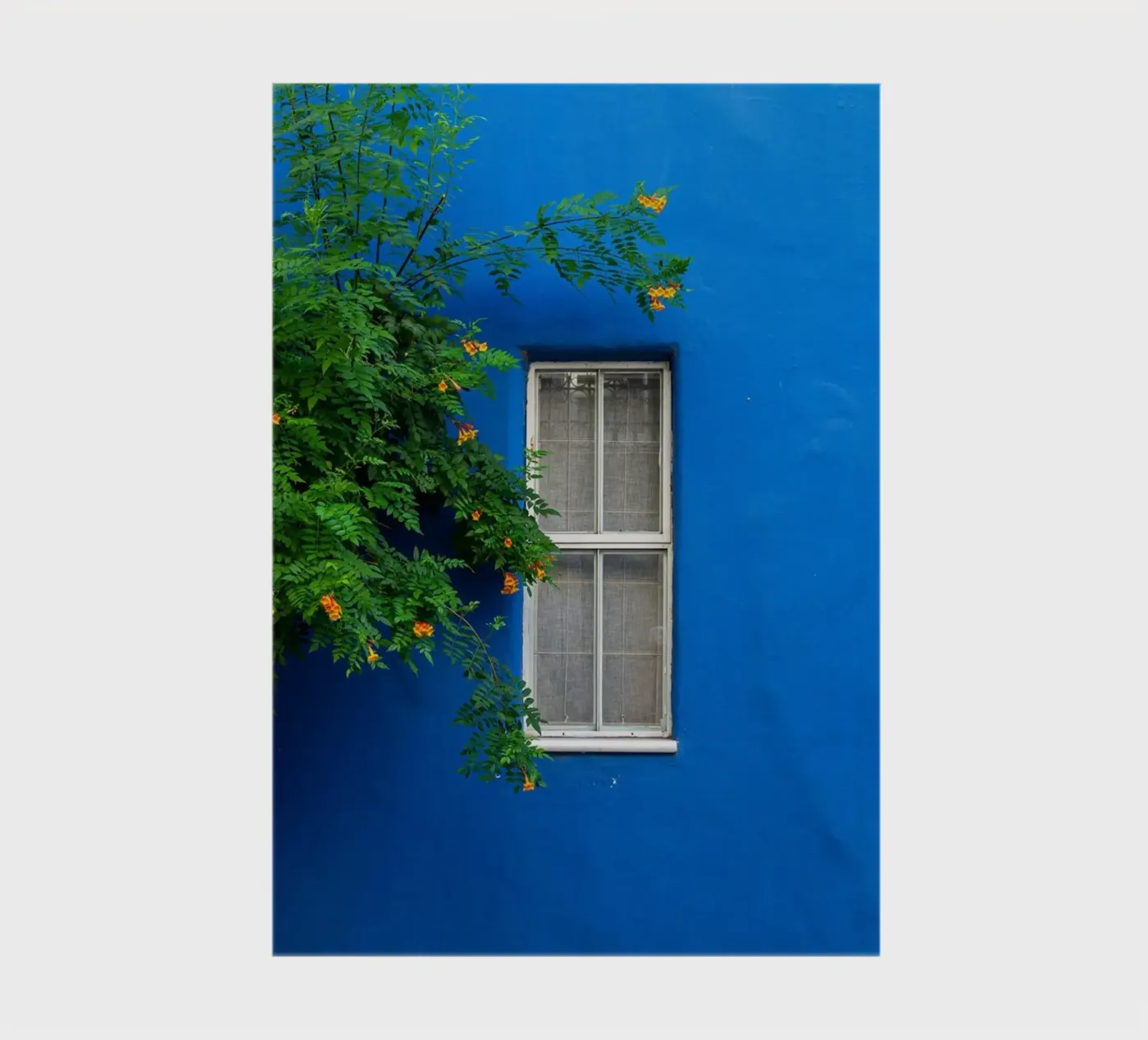 décorer simplement carnet de Bleu