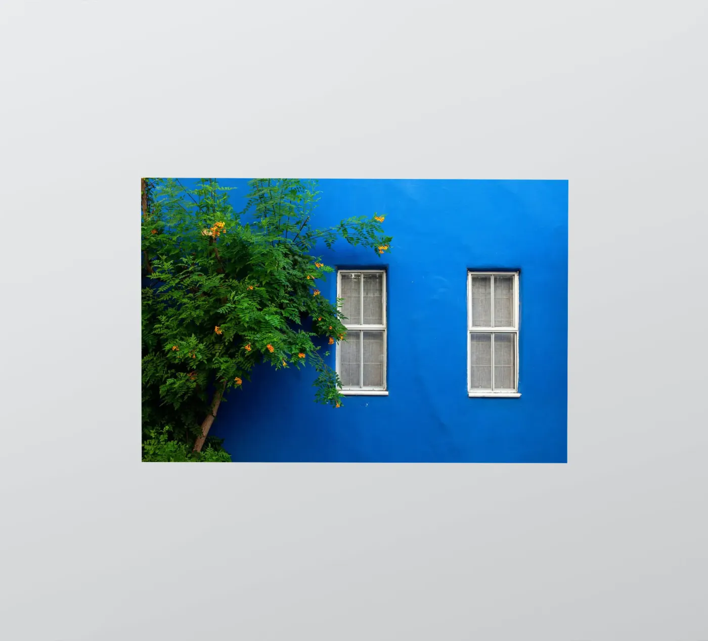 décorer simplement autocollant de Bleu