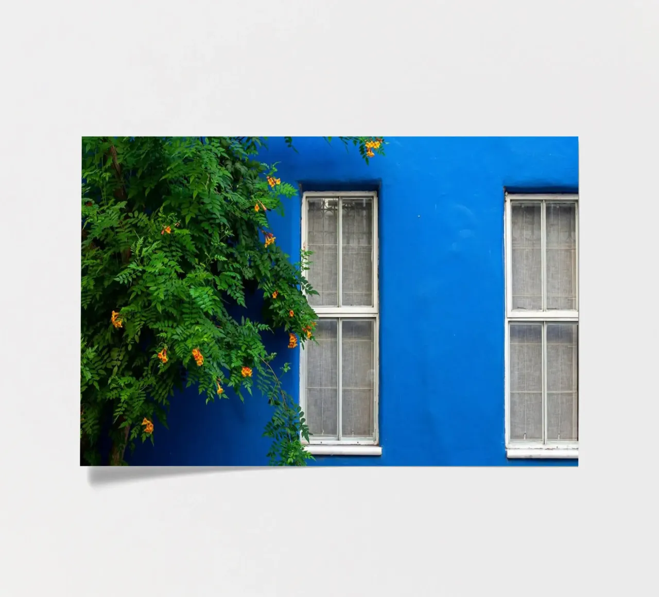 décorer simplement planche autocollant de Bleu