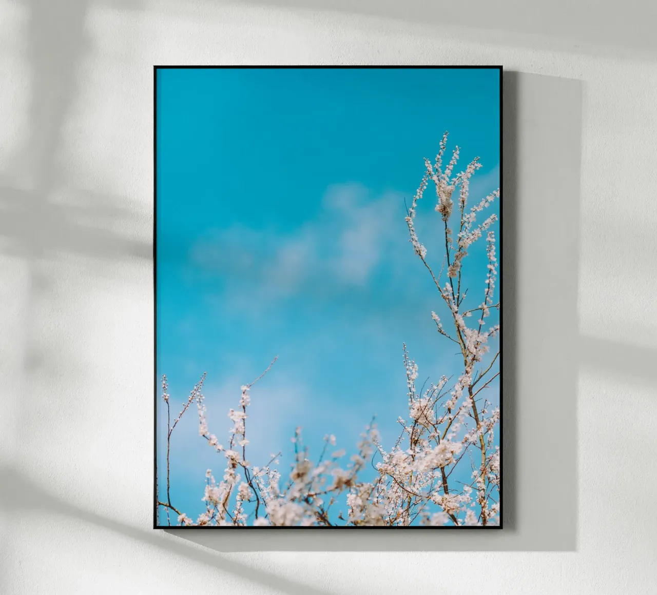 fiori di stagione plexiglass da Bleu