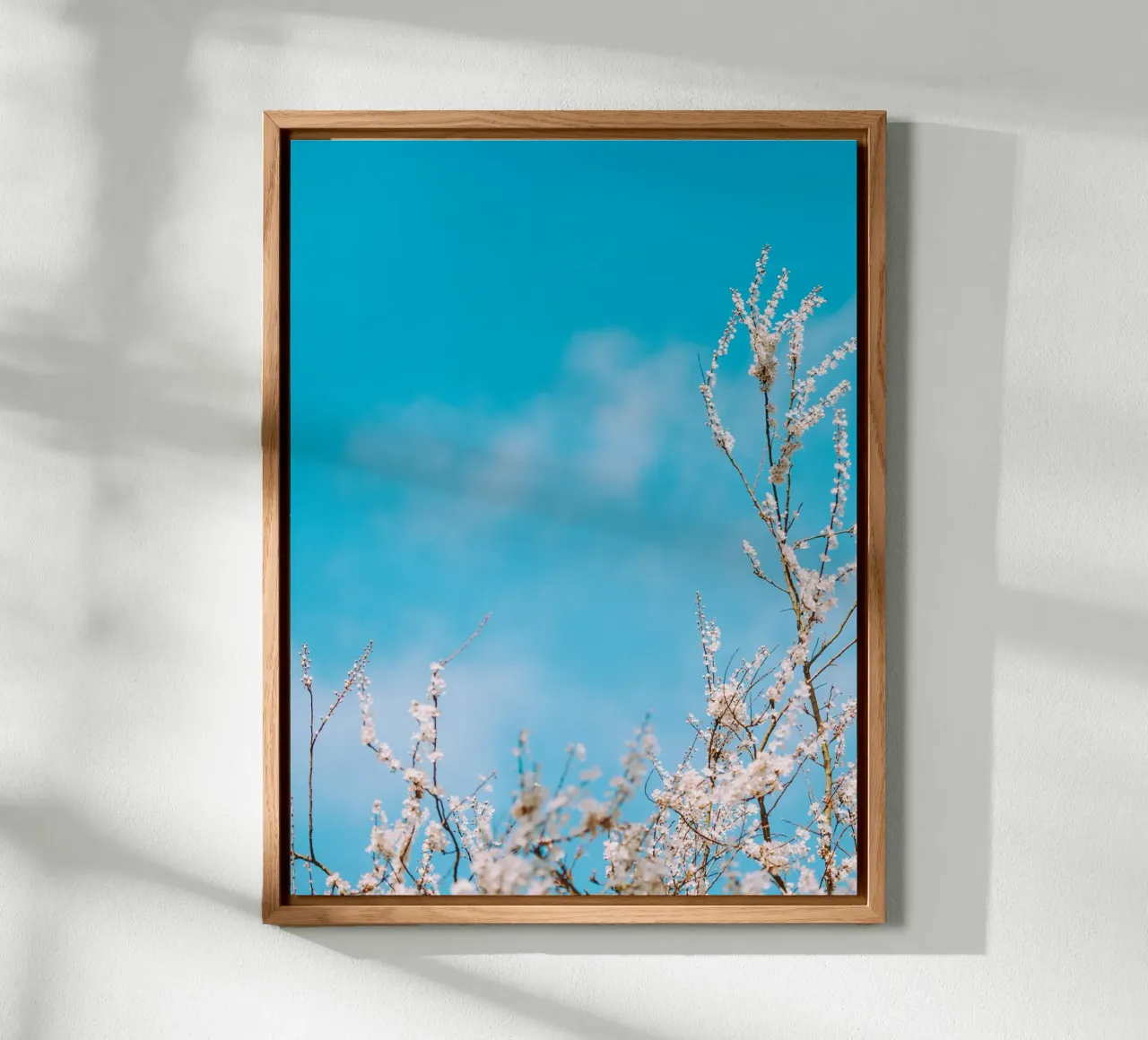 fiori di stagione alluminio dibond da Bleu