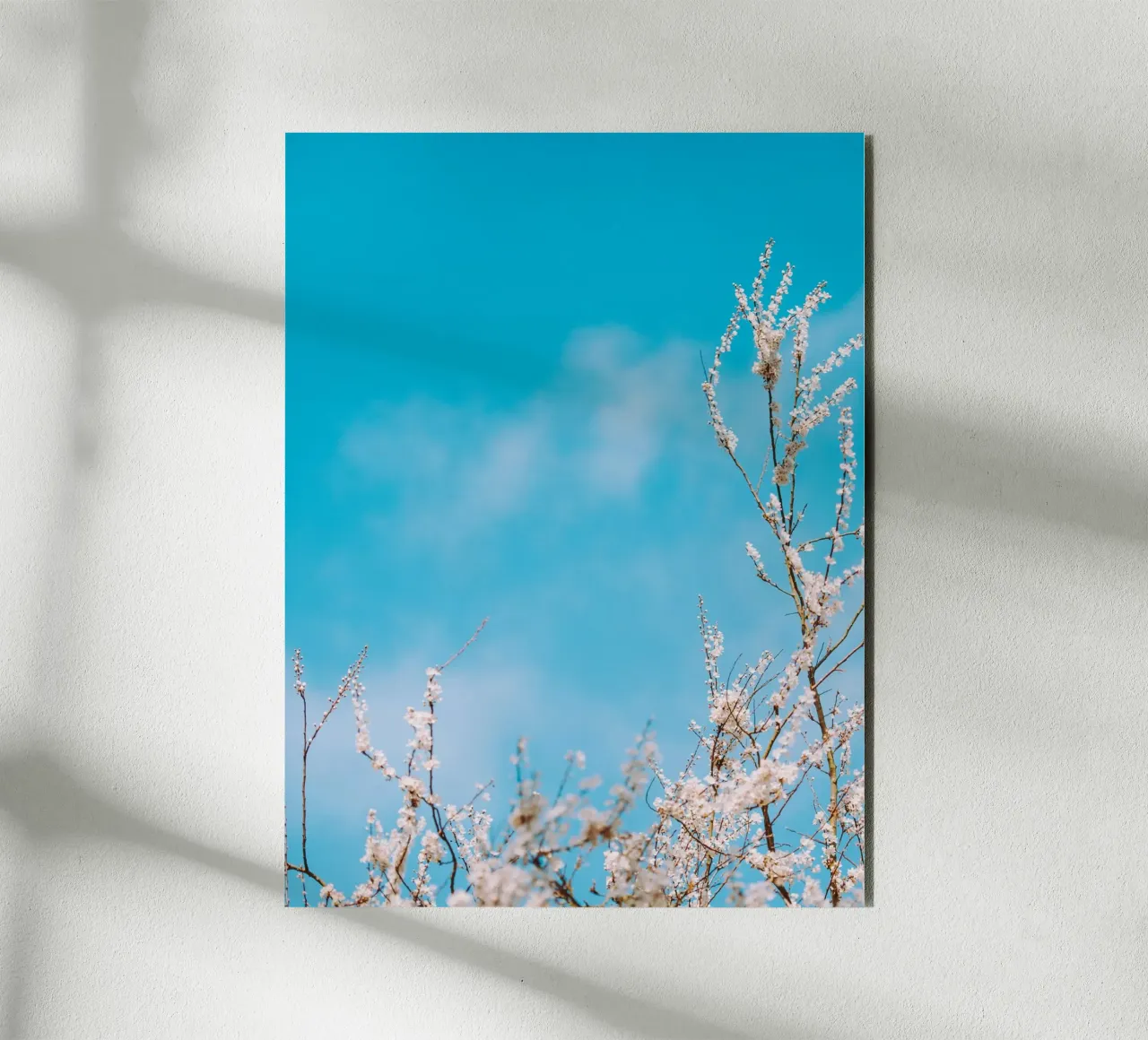 fiori di stagione alluminio dibond da Bleu