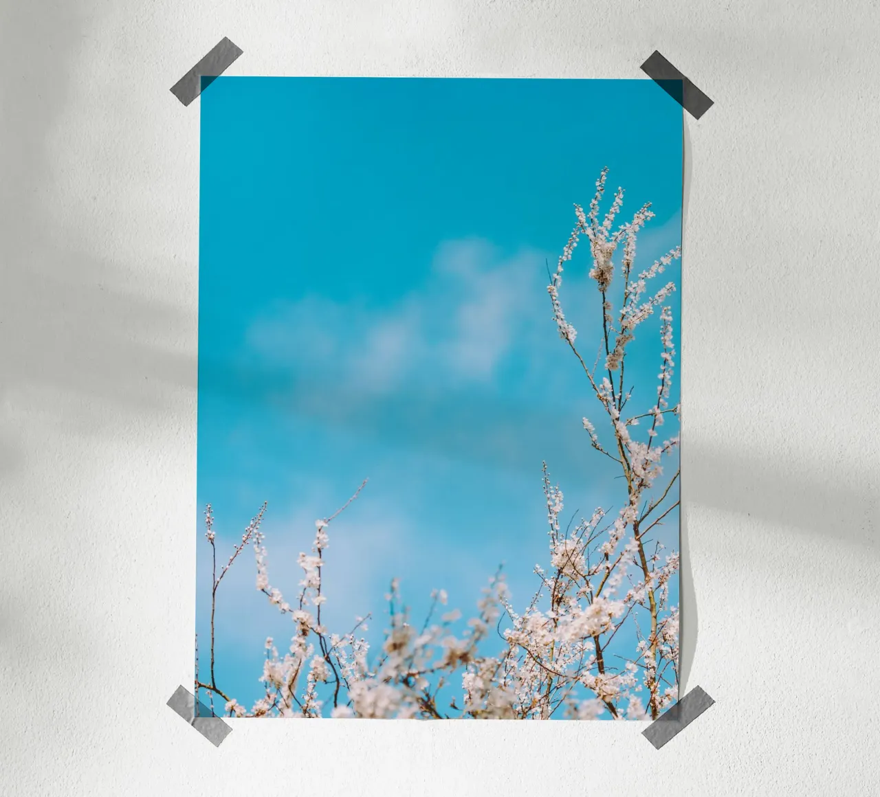 fiori di stagione carta hahnemühle da Bleu