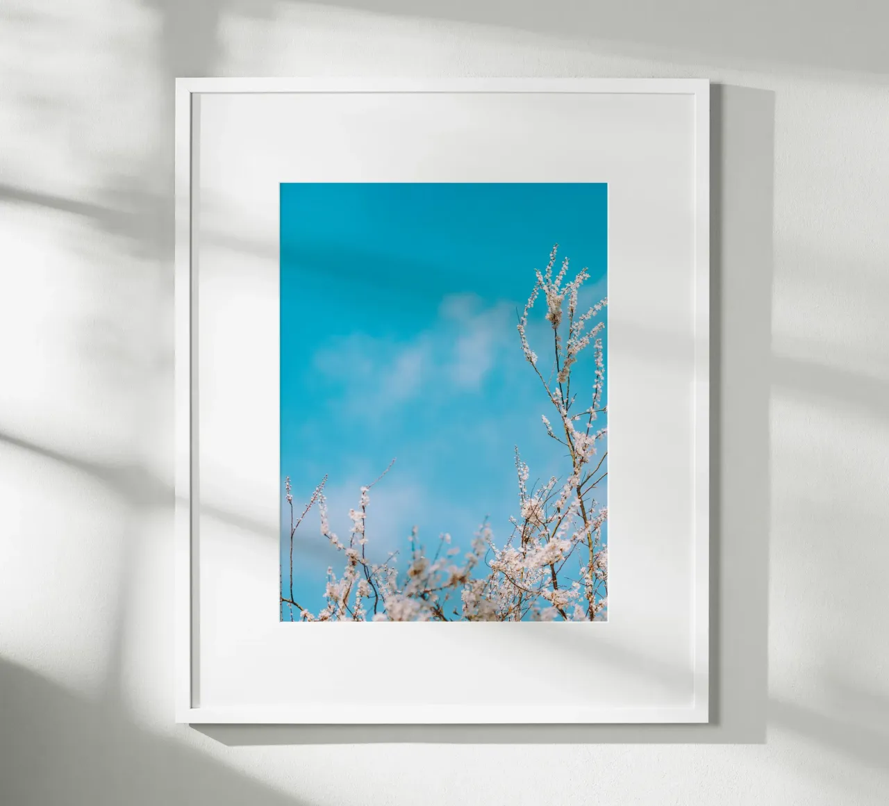 fiori di stagione carta hahnemühle da Bleu