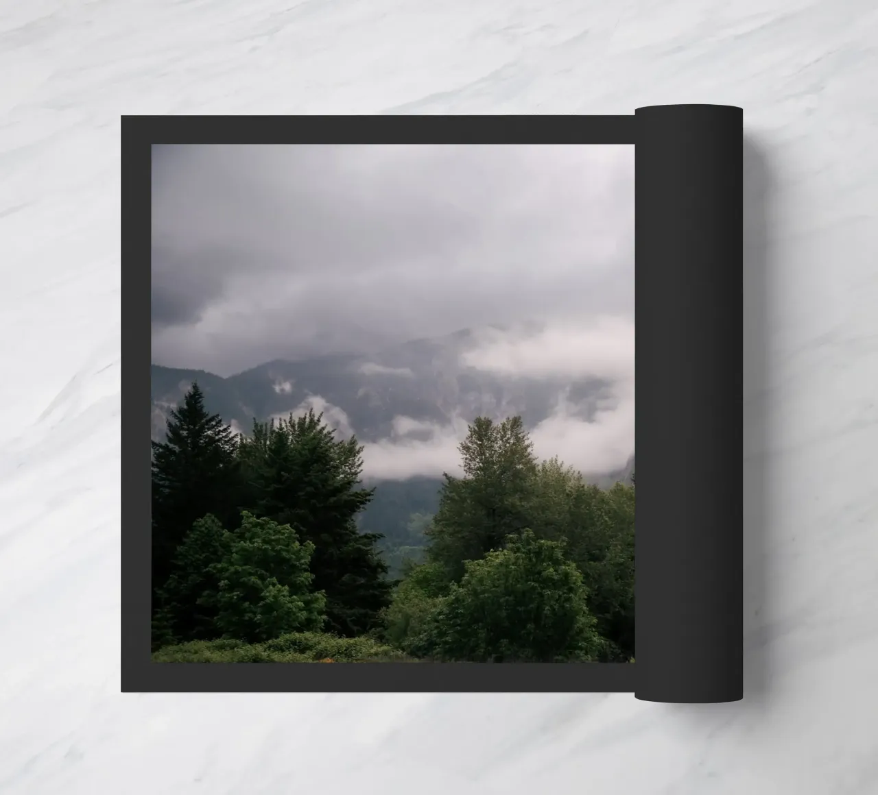 Moody Forest Landscape zerbino da wowhannahphotos
