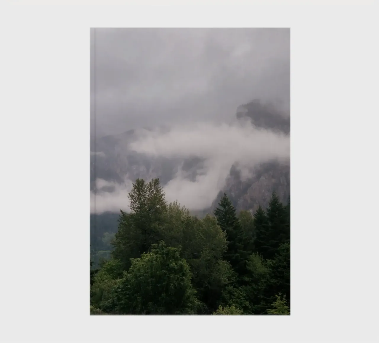 Moody Forest Landscape notebook by wowhannahphotos