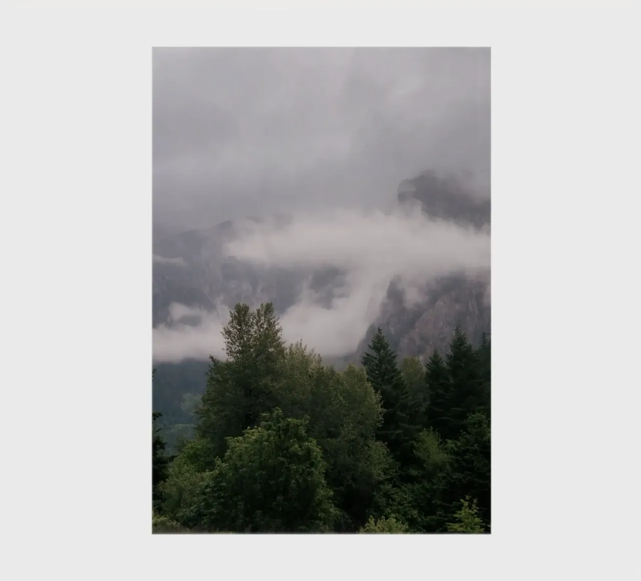 Moody Forest Landscape notebook by wowhannahphotos