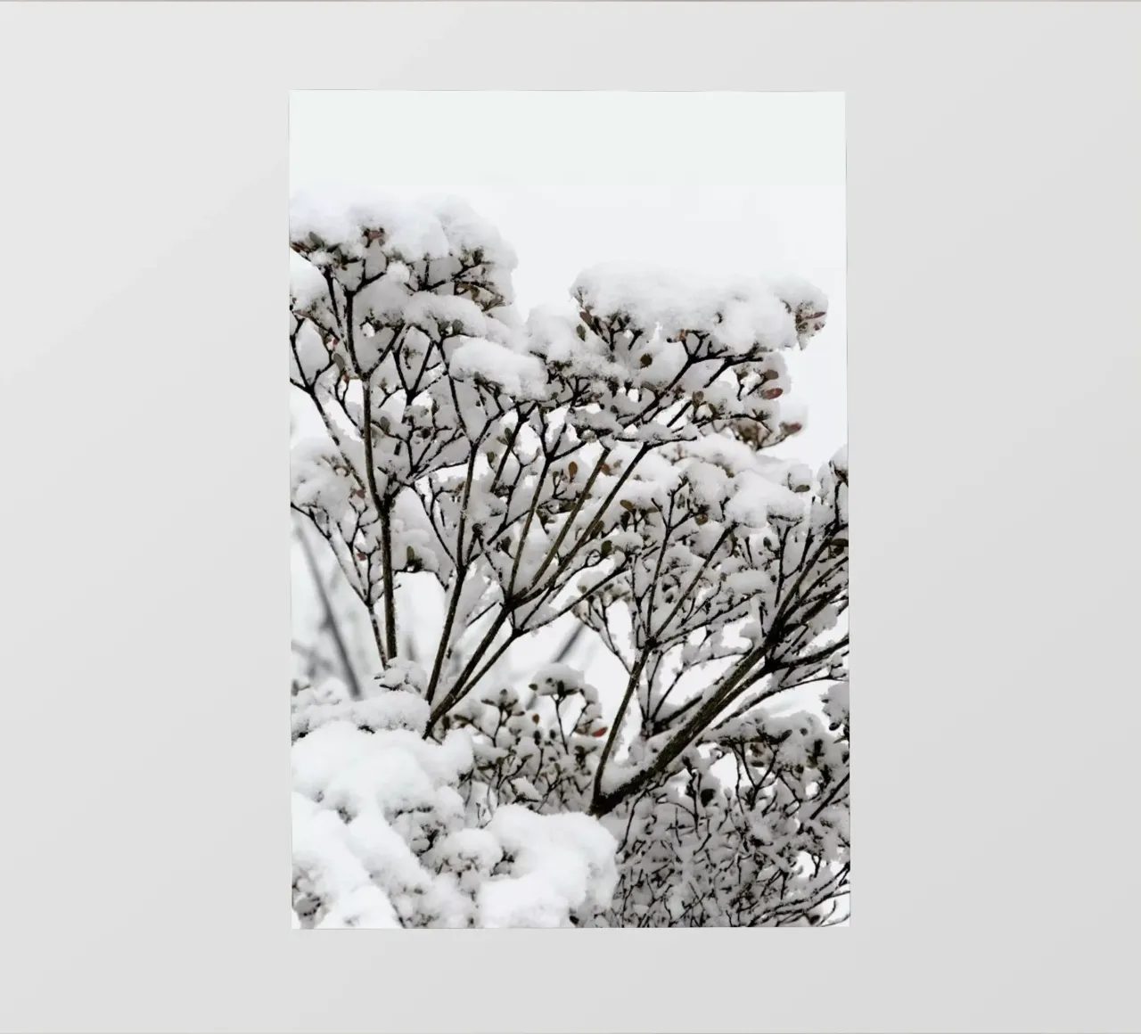 Snowy White Flower Branches telo in pvc da Studio Nahili